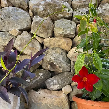 Holiday home Dimora Storica San Giovanni